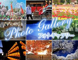 フォトギャラリー